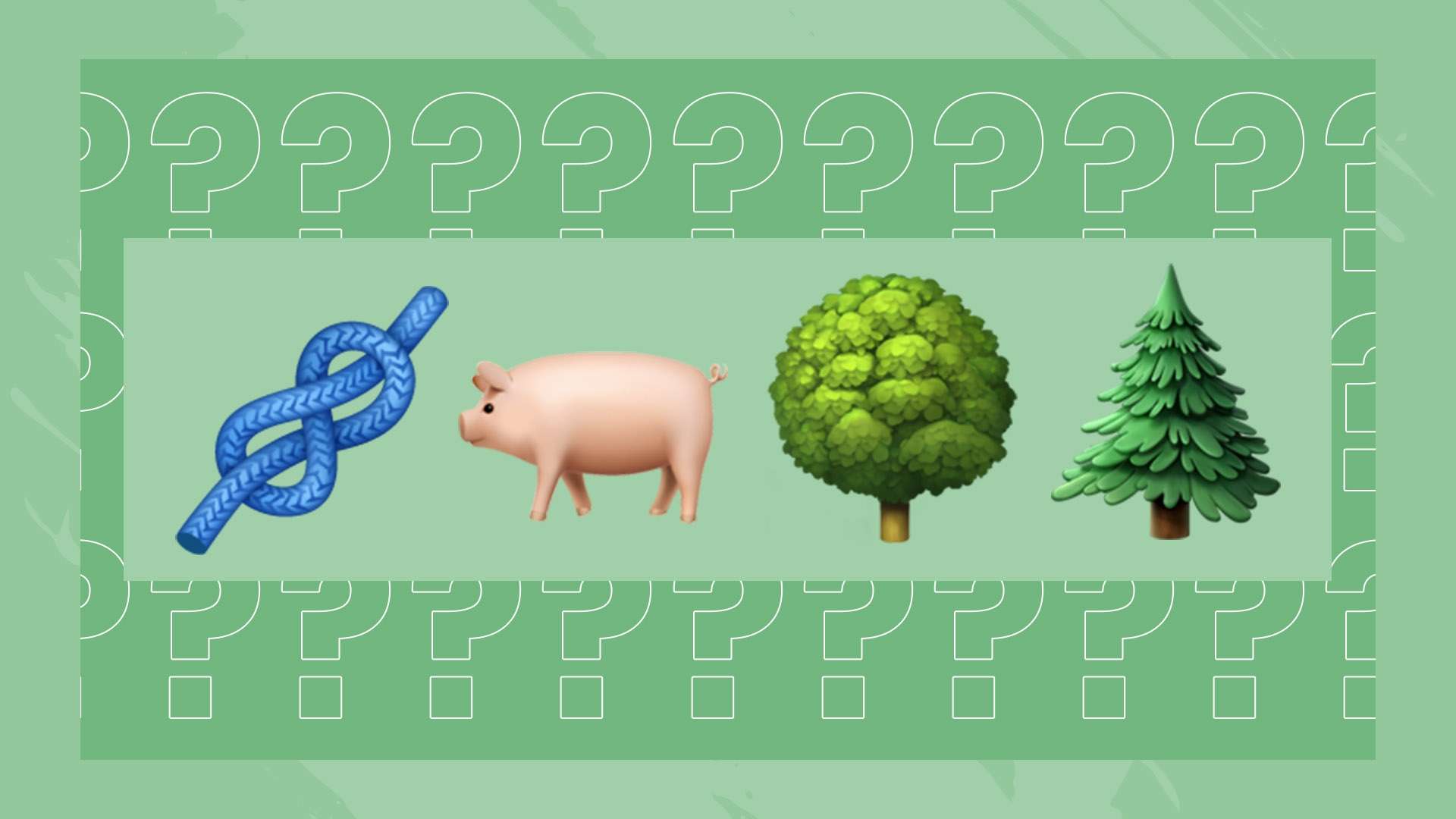 分享市场动 分享市场动