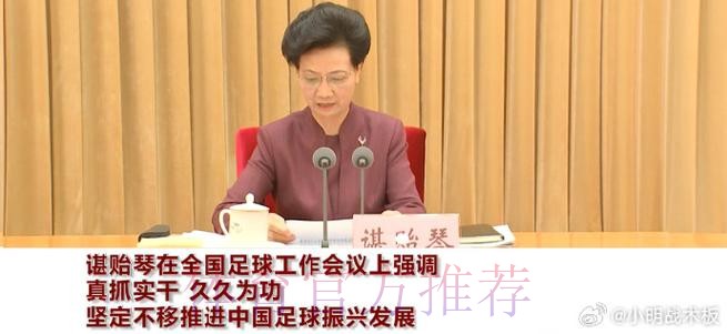 谌贻琴在全国足球工作会议上强调 真抓实干 久久为功 坚定不移推进中国足球振兴发展